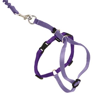 PetSafe Come With Me Kitty Nylon Cat Harness & Bungee Leash, Lilac/Deep Purple, Large: 13 to 18-in chest