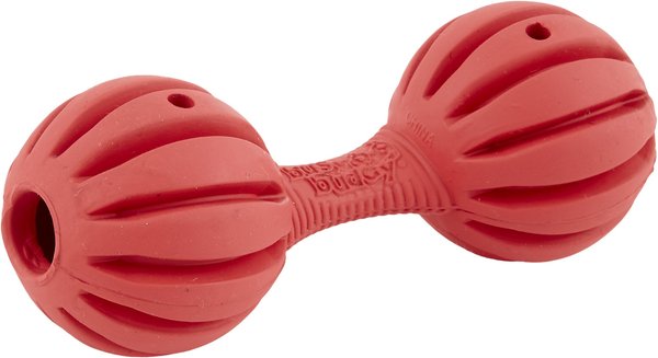 PetSafe Busy Buddy Waggle Dog Toy, Treat Dispensing Dog, Medium