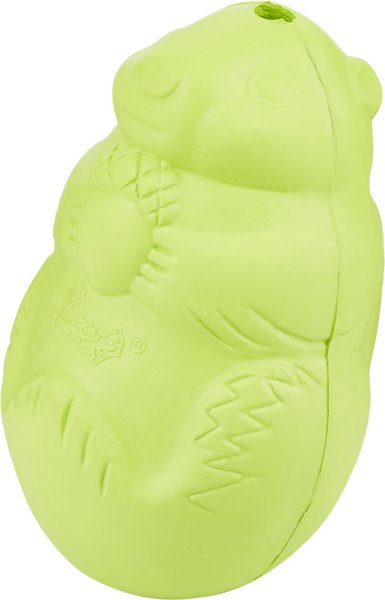 Squirrel dude outlet dog toy