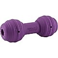 PetSafe Busy Buddy Chuckle Squeaky Treat Dispenser Dog Toy