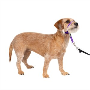 PetSafe Gentle Leader Padded No Pull Dog Headcollar, Deep Purple, Small: 7 to 15-in neck