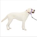 PetSafe Gentle Leader Padded No Pull Dog Headcollar, Deep Purple, Large: 11 to 24-in neck