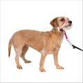 PetSafe Gentle Leader Padded No Pull Dog Headcollar, Raspberry, Small: 7 to 15-in neck