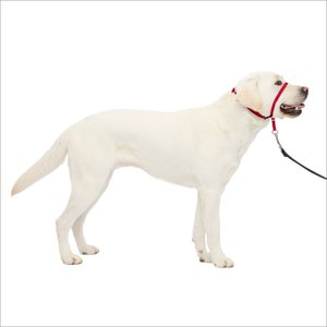 PetSafe Gentle Leader Padded No Pull Dog Headcollar, Red, Large: 11 to 24-in neck