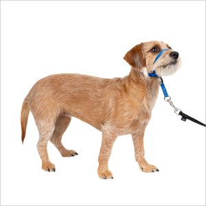 PetSafe Gentle Leader Padded No Pull Dog Headcollar, Royal Blue, Small: 7 to 15-in neck