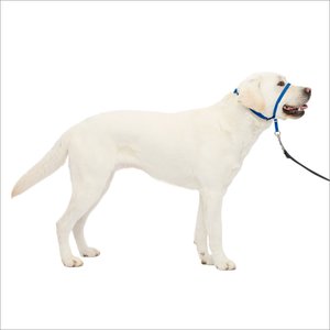 PetSafe Gentle Leader Padded No Pull Dog Headcollar, Royal Blue, Large: 11 to 24-in neck