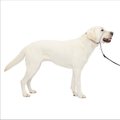PetSafe Gentle Leader Padded No Pull Dog Headcollar, Silver, Large: 11 to 24-in neck