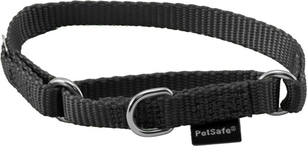 PetSafe Nylon Martingale Dog Collar, Black, Petite: 5 to 8-in neck, 3/8-in wide slide 1 of 4