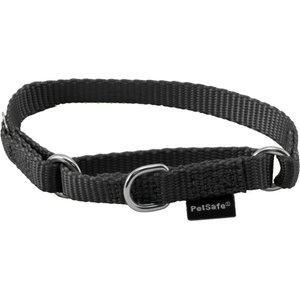 PetSafe Nylon Martingale Dog Collar, Black, Petite: 5 to 8-in neck, 3/8-in wide