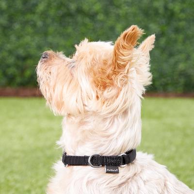 Show full view: PetSafe Nylon Martingale Dog Collar, Black, Petite: 5 to 8-in neck, 3/8-in wide slide 3 of 6