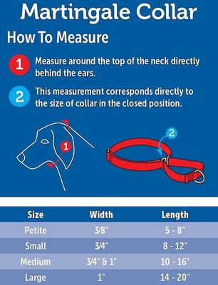 Show full view: PetSafe Nylon Martingale Dog Collar, Black, Petite: 5 to 8-in neck, 3/8-in wide slide 4 of 6