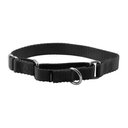 PetSafe Nylon Martingale Dog Collar, Black, Small: 8 to 12-in neck, 3/4-in wide