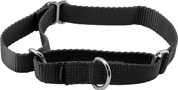 PetSafe Nylon Martingale Dog Collar, Black, Medium: 10 to 16-in neck, 3/4-in wide slide 1 of 4