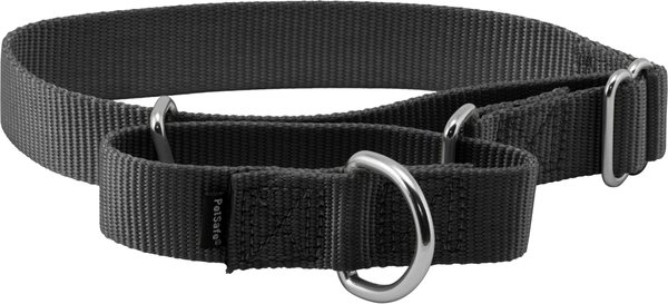 PetSafe Nylon Martingale Dog Collar, Black, Medium: 10 to 16-in neck, 1-in wide slide 1 of 4