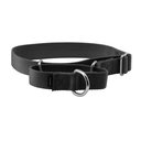 PetSafe Nylon Martingale Dog Collar, Black, Medium: 10 to 16-in neck, 1-in wide