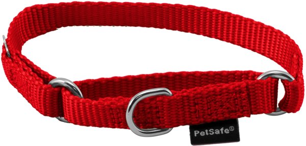 PetSafe Nylon Martingale Dog Collar, Red, Petite, 3/8-in slide 1 of 4