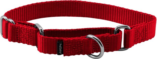 PetSafe Nylon Martingale Dog Collar, Red, Small, 3/4-in slide 1 of 4