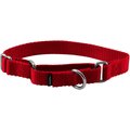 PetSafe Nylon Martingale Dog Collar, Red, Small, 3/4-in