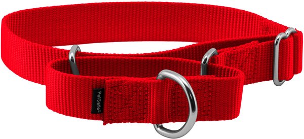PetSafe Nylon Martingale Dog Collar, Red, Medium: 10 to 16-in neck, 1-in wide slide 1 of 4