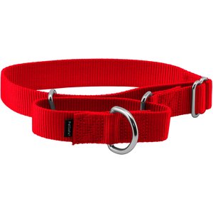PetSafe Nylon Martingale Dog Collar, Red, Medium: 10 to 16-in neck, 1-in wide