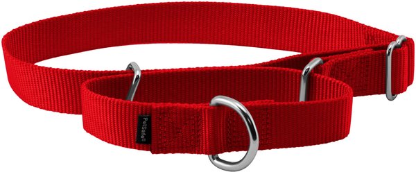 PetSafe Nylon Martingale Dog Collar, Red, Large: 14 to 20-in neck, 1-in wide slide 1 of 4