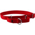 PetSafe Nylon Martingale Dog Collar, Red, Large: 14 to 20-in neck, 1-in wide