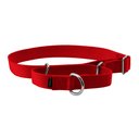 PetSafe Nylon Martingale Dog Collar, Red, Large: 14 to 20-in neck, 1-in wide