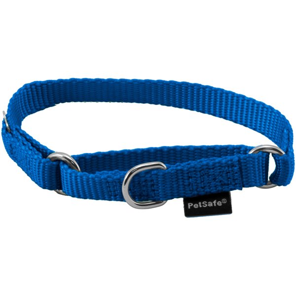 PETSAFE Quick Snap Buckle Nylon Martingale Dog Collar, Royal Blue, Petite 7 to 9in neck, 3/8