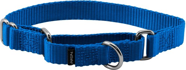 PetSafe Nylon Martingale Dog Collar, Royal Blue, Small: 8 to 12-in neck, 3/4-in wide slide 1 of 4