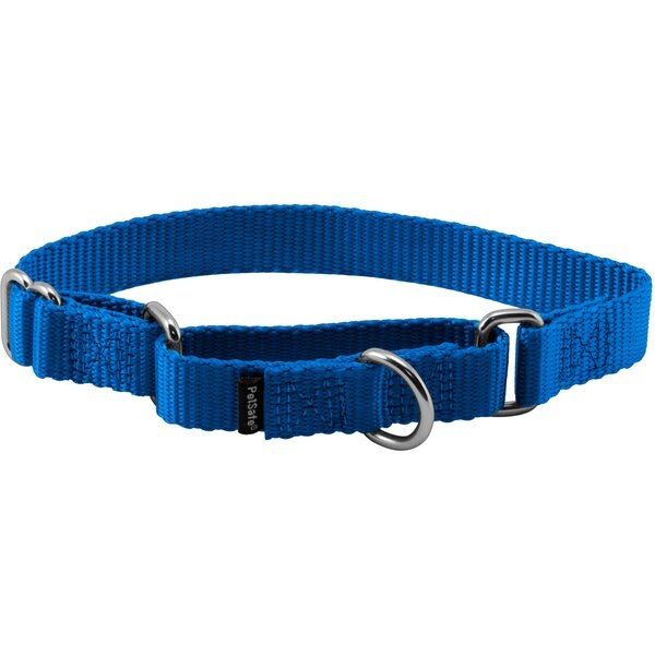 PetSafe Premier Martingale Dog Collar, Silver