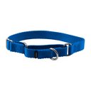 PetSafe Nylon Martingale Dog Collar, Royal Blue, Small: 8 to 12-in neck, 3/4-in wide