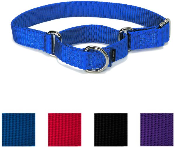 PetSafe Nylon Martingale Dog Collar, Royal Blue, Medium: 10 to 16-in neck, 3/4-in wide slide 1 of 4