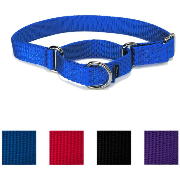 PETSAFE Nylon Martingale Dog Collar, Royal Blue, Medium: 10 to 16-in ...