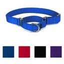 PetSafe Nylon Martingale Dog Collar, Royal Blue, Medium: 10 to 16-in neck, 3/4-in wide