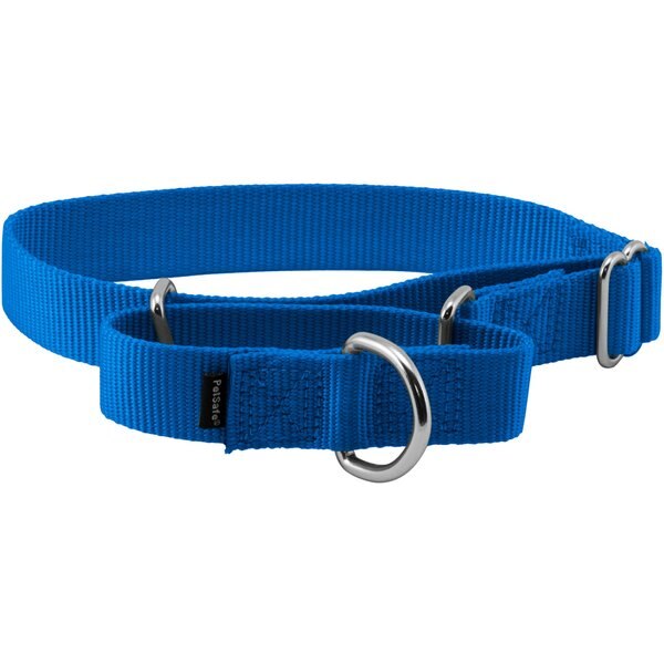 FRISCO Solid Nylon Martingale Dog Collar with Buckle, Blue, Small 14