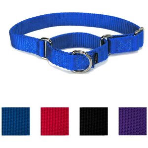 PetSafe Nylon Martingale Dog Collar, Royal Blue, Large: 14 to 20-in neck, 1-in wide