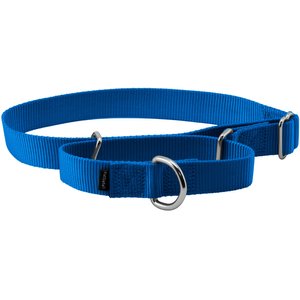 PetSafe Nylon Martingale Dog Collar, Royal Blue, Large: 14 to 20-in neck, 1-in wide
