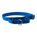 PetSafe Nylon Martingale Dog Collar, Royal Blue, Large: 14 to 20-in neck, 1-in wide