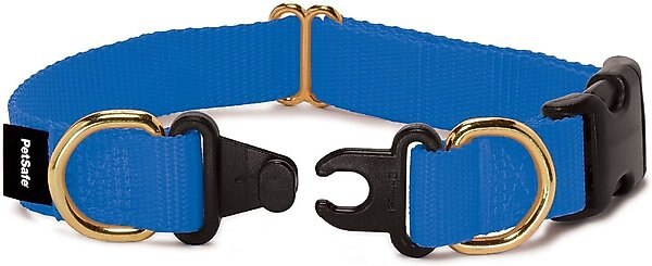 PetSafe Keep Safe Nylon Breakaway Dog Collar, Royal Blue, Large: 18 to 28-in neck, 1-in wide slide 1 of 5