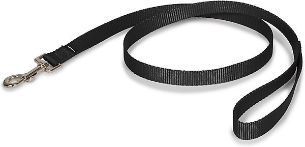 PetSafe Nylon Dog Leash, Black, 4-ft long, 3/4-in wide slide 1 of 8