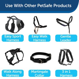 PetSafe Nylon Dog Leash, Black, 6-ft long, 1-in wide