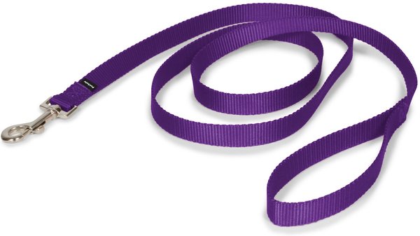 PETSAFE Nylon Dog Leash, Purple, 6-ft long, 3/4-in wide - Chewy.com