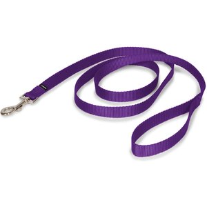 PetSafe Premier Nylon Dog Leash, Purple, 6-ft long, 3/4-in wide