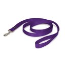 PetSafe Nylon Dog Leash, Purple, 6-ft long, 1-in wide