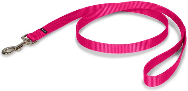 PetSafe Premier Nylon Dog Leash, Raspberry, 4-ft long, 3/4-in wide slide 1 of 8