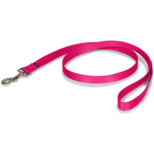 PetSafe Premier Nylon Dog Leash, Raspberry, 4-ft long, 3/4-in wide
