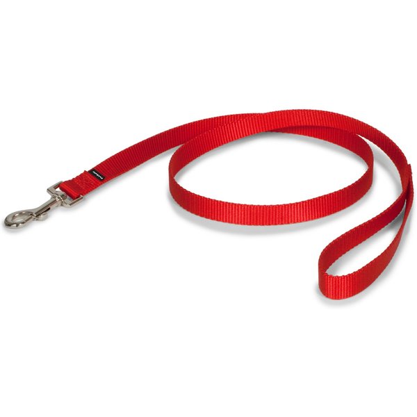 FRISCO Solid Nylon Dog Leash, Red, Large: 4-ft long, 1-in wide - Chewy.com