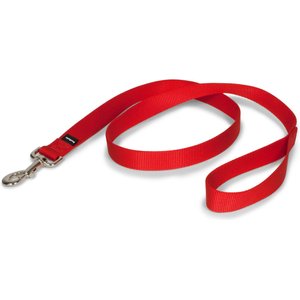 PetSafe Nylon Dog Leash, Red, 4-ft long, 1-in wide