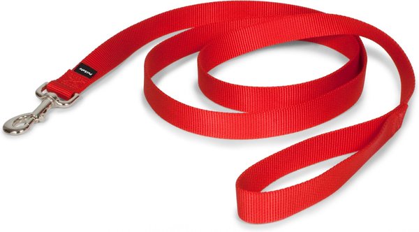 PETSAFE Nylon Dog Leash, Red, 6-ft long, 1-in wide - Chewy.com