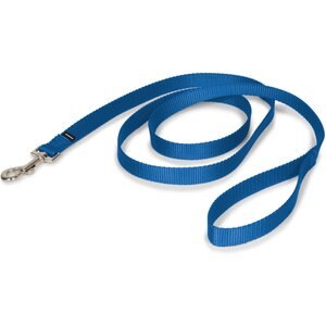 PetSafe Premier Nylon Dog Leash, Royal Blue, 6-ft long, 3/4-in wide